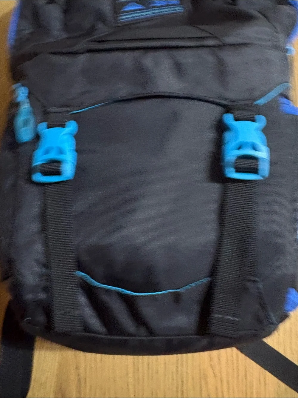 Dakine Black Backpack with Bright Blue Accents